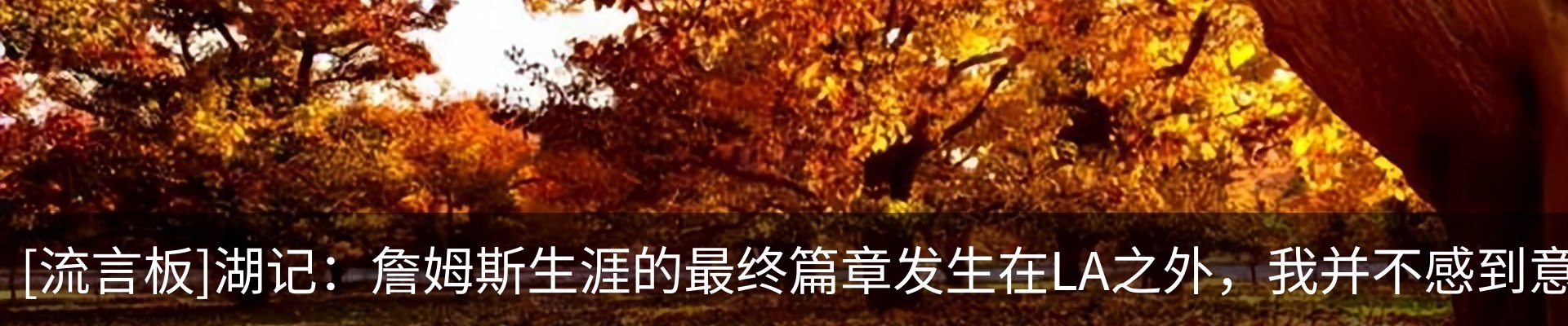 内页banner